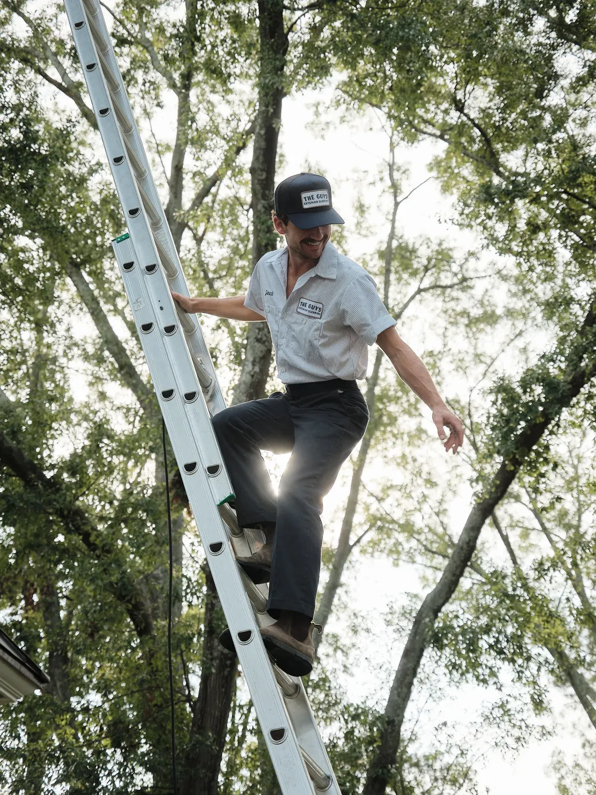 The Guys technician in branded cap and uniform climbing a tall extension ladder beneath leafy oak branches