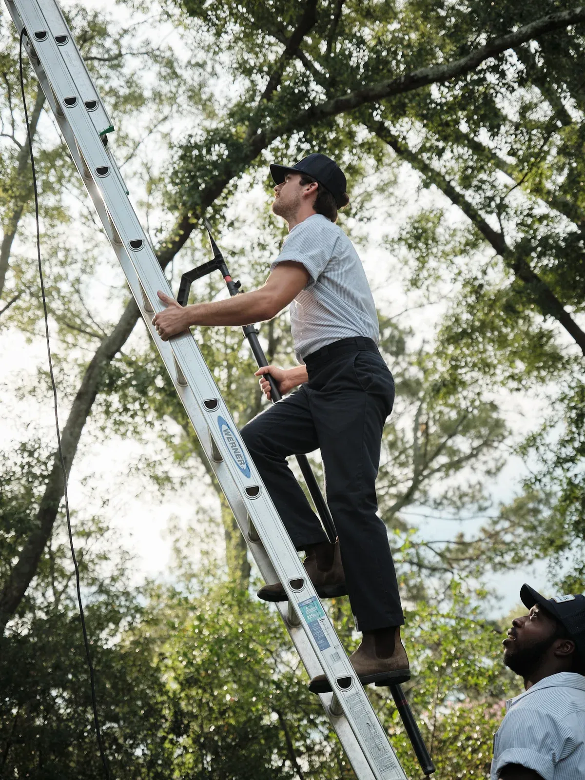 The Guys Exterior Cleaning crew with a ladder among the trees in Madison, MS